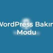 Web sitenizi güncellemek mi gerekiyor, WordPress bakım modu hakkında bilmeniz gerekenler burada, en iyi güncelleme ve bakım süreçlerini öğrenin