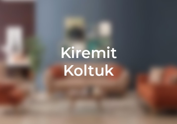 Kiremit rengi koltuklar, ev dekorasyonunda sıcak tasarımlar, stilleri yeniden tanımlayın, kayseri web tasarım, kadeo ajans, Ankara, Kayseri