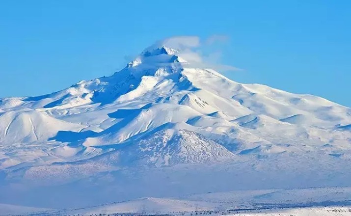 Kayseri Yedirenk tasarım gücüne tanık olun ve markanızı renklerle hayata geçirin, şimdi öğrenin, nasıl göz alıcı bir etki yaratır